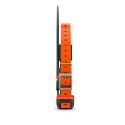 Alpha T20 GPS Collar - Image 5