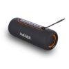 SP-10W.003A Light Boom bluetooth HAEGER